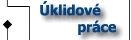 Úklidové práce